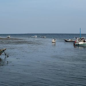 IMG-20250623-WA0025